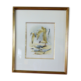 Enhanced drawing former collection Hepatior N ° 21
