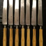 Set of 7 steel blade knives