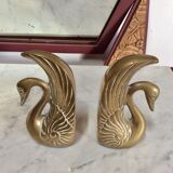 Pair of greenhouse books swans