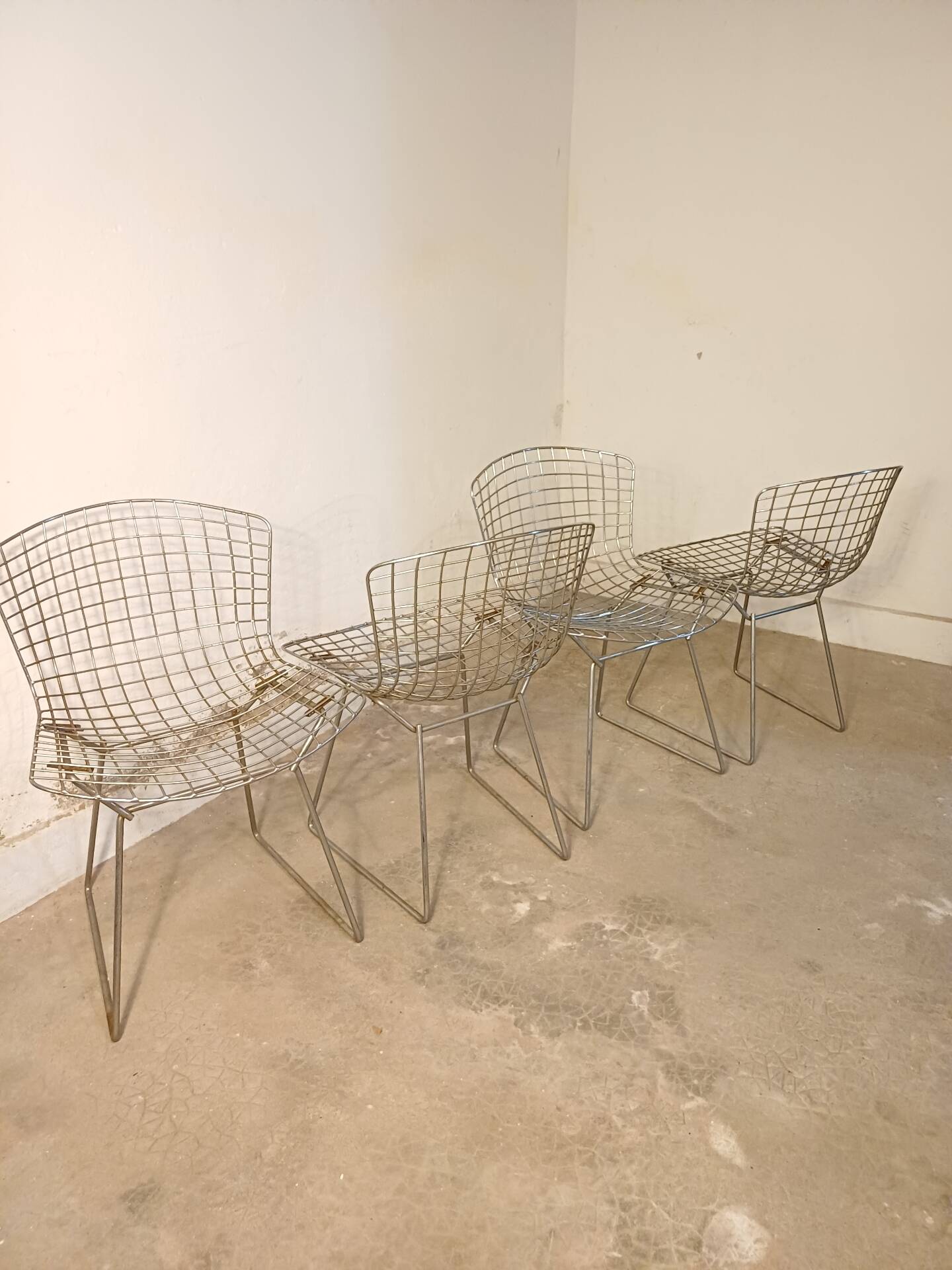 Série de 4 chaises Harry Bertoia