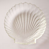 Arcoroc shell cup