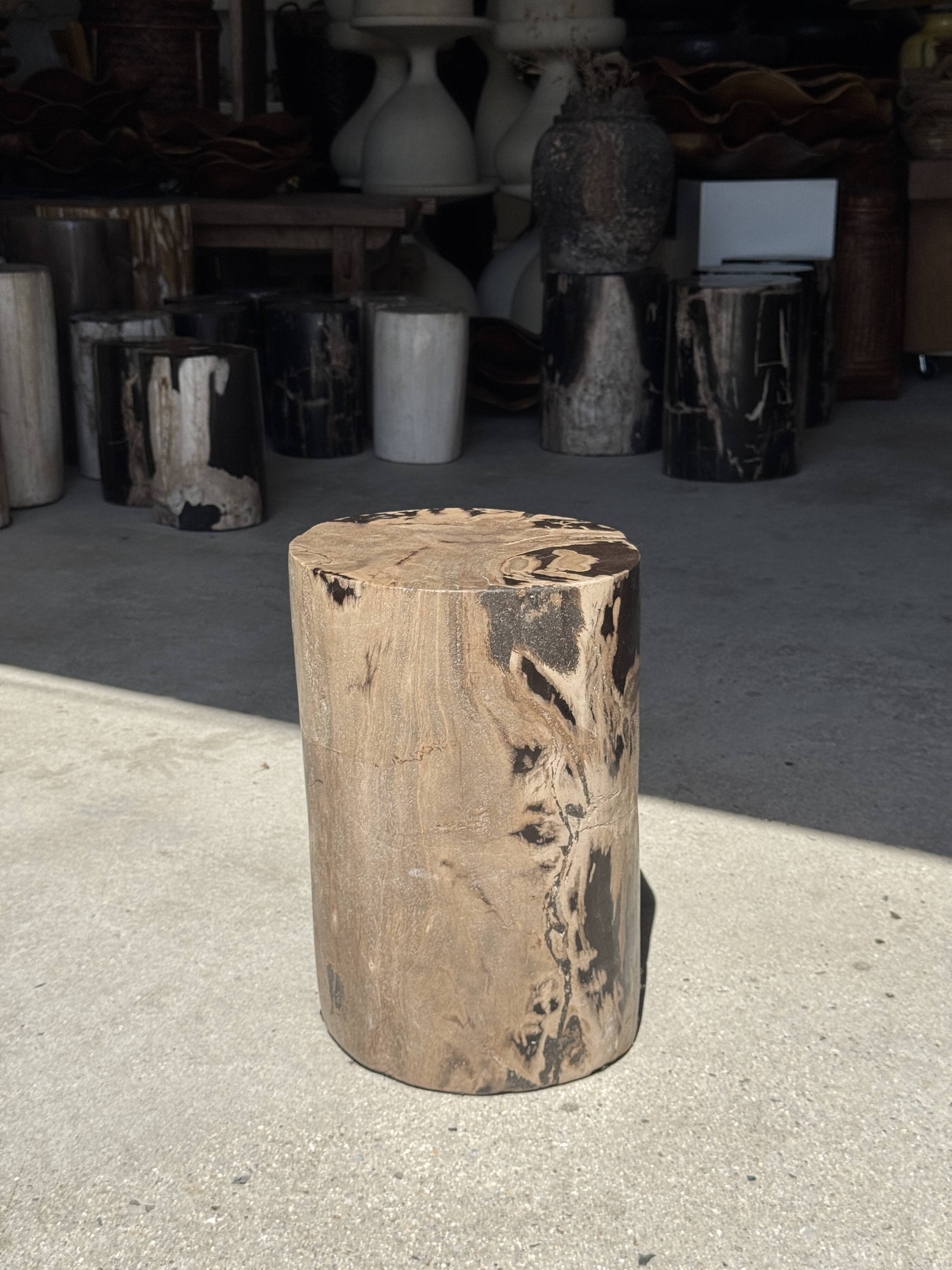 Brown and black petrified wood side table H35 D27 - 3333