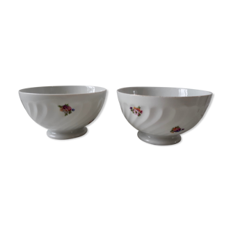 Gien 1940s bowl duo