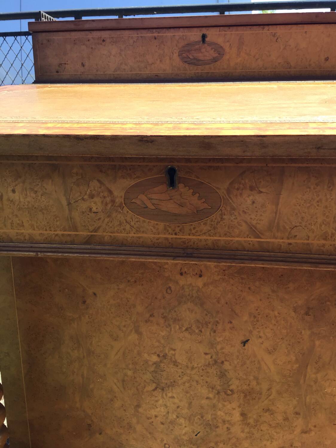 Davenport writing desk in fruitwood and burl veneer