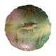 Plate n°1 - Balleroy, Mandavy and de Mavaleix 1904-1908 - fish -