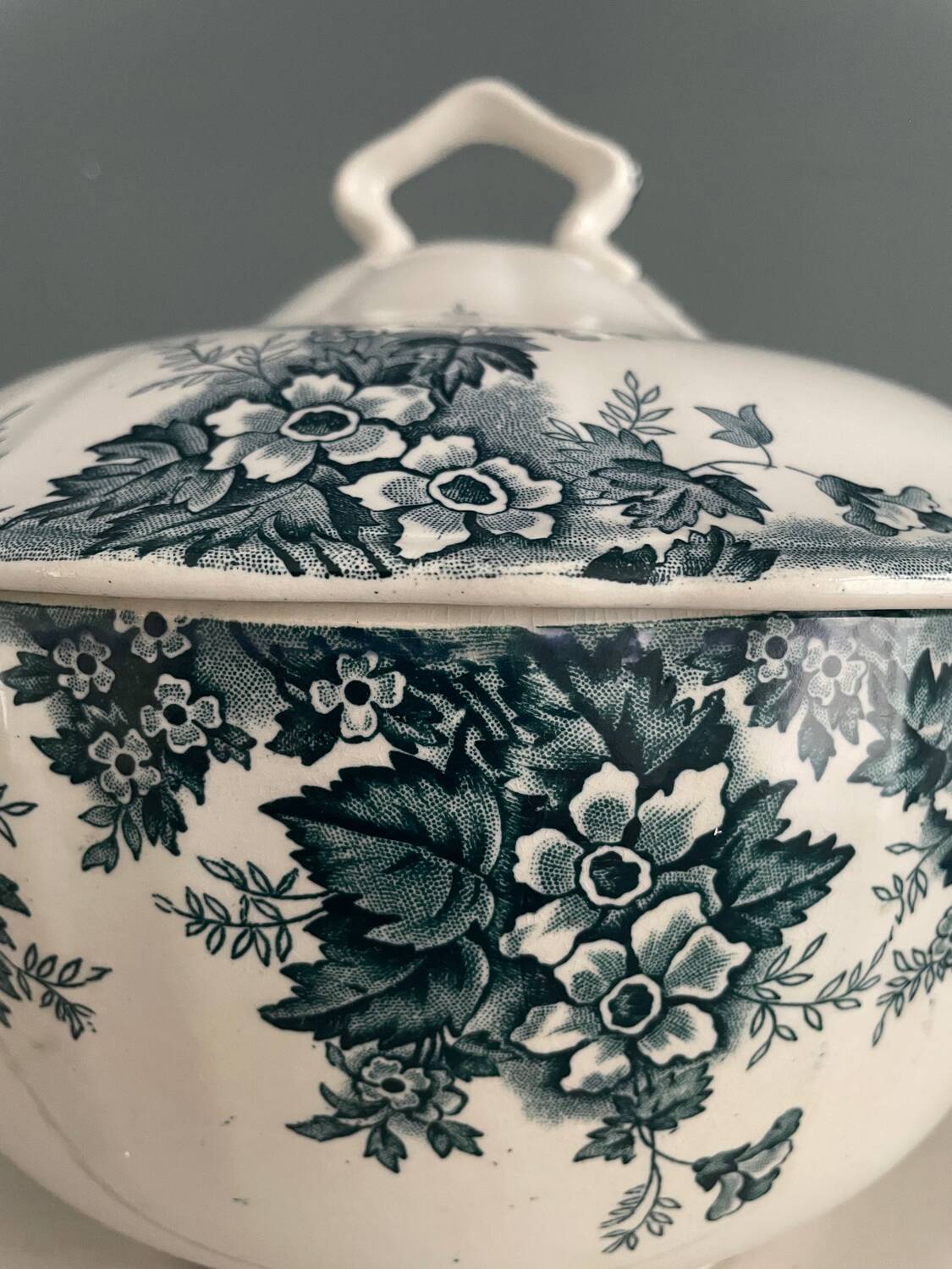 Tureen 1900 Terre de Fer “Marie-Louise” St Amand and Hamage