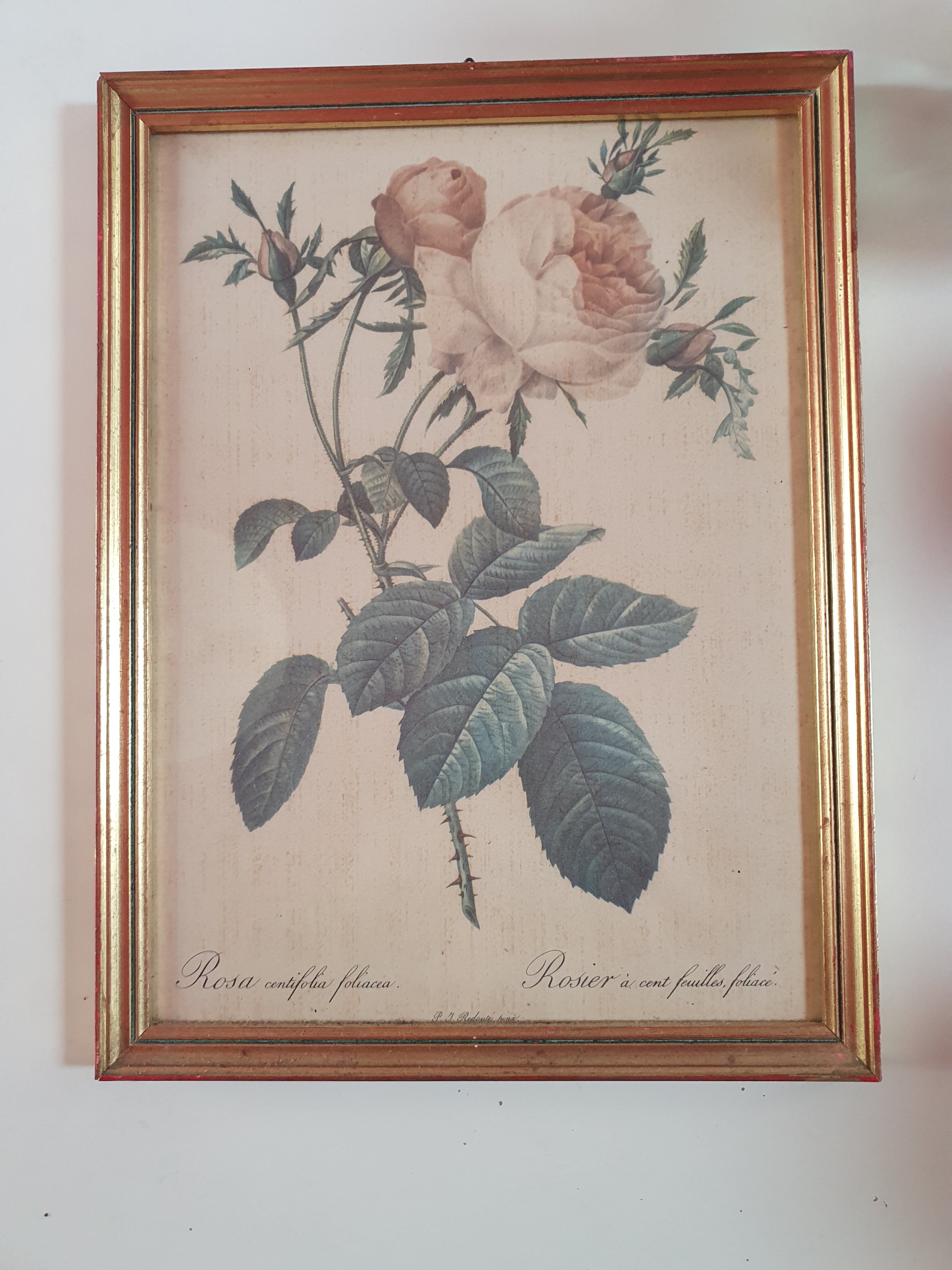 Canvas frame old painting vintage pink flowers, golden frame 25cm by 33cm