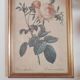 Canvas frame old painting vintage pink flowers, golden frame 25cm by 33cm