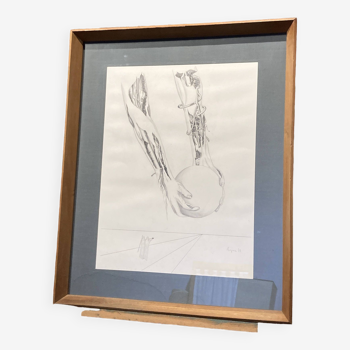 Framed anatomist drawing signed P. Reigner.