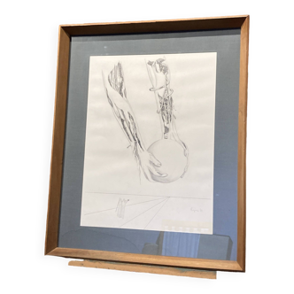 Framed anatomist drawing signed P. Reigner.