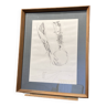 Framed anatomist drawing signed P. Reigner.