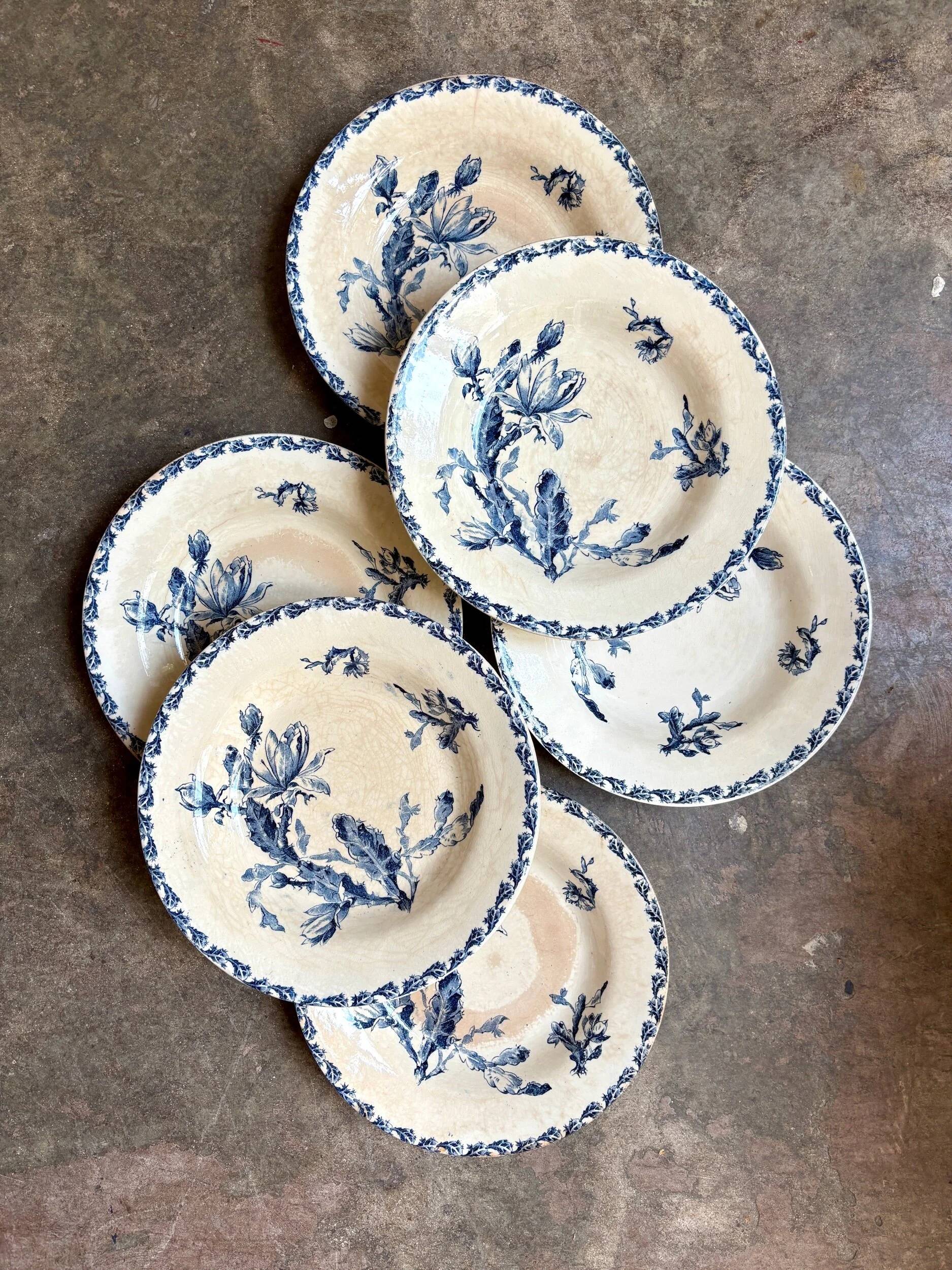 6 deep plates Gien in blue ironstone, "Cactus" service.