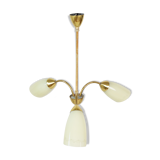 Lustre, années 1950