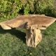 Root sculptural coffee table
