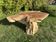 Root sculptural coffee table