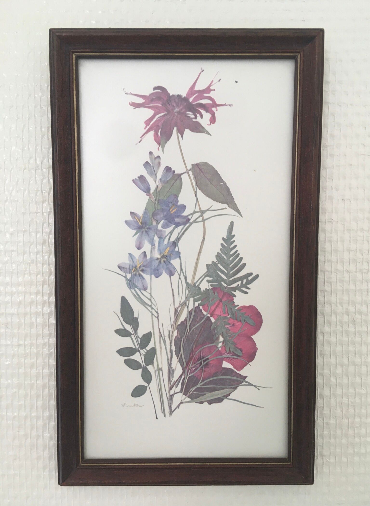 Botanical engraving of vintage flowers in its frame