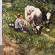The well-kept cows, landscape, oil on canvas signed.