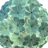 Venetian Green-Wather Flowers Murano Style Glass Sputnik Chandelier