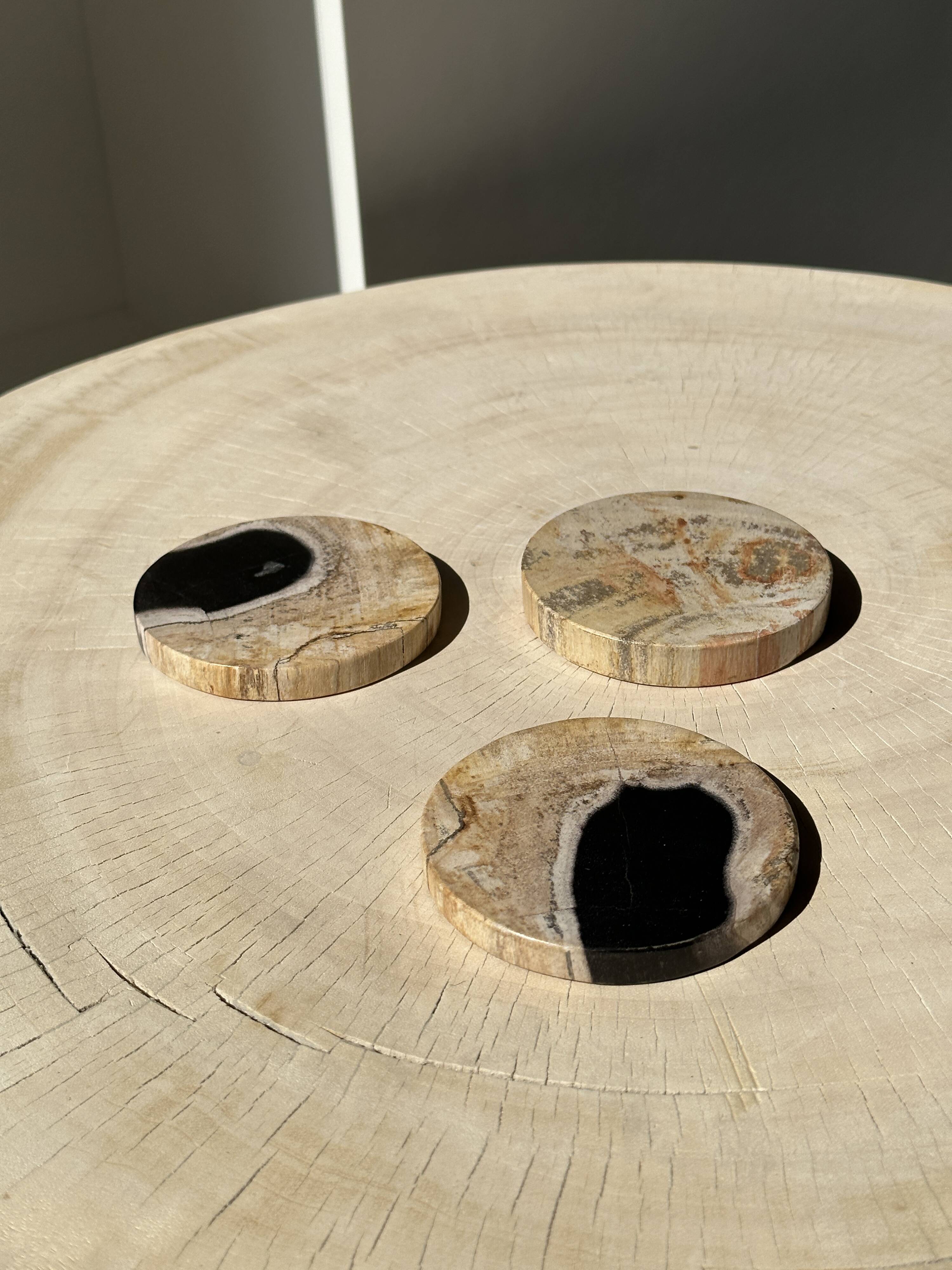 Set of 3 fossilized wood coasters (clear)