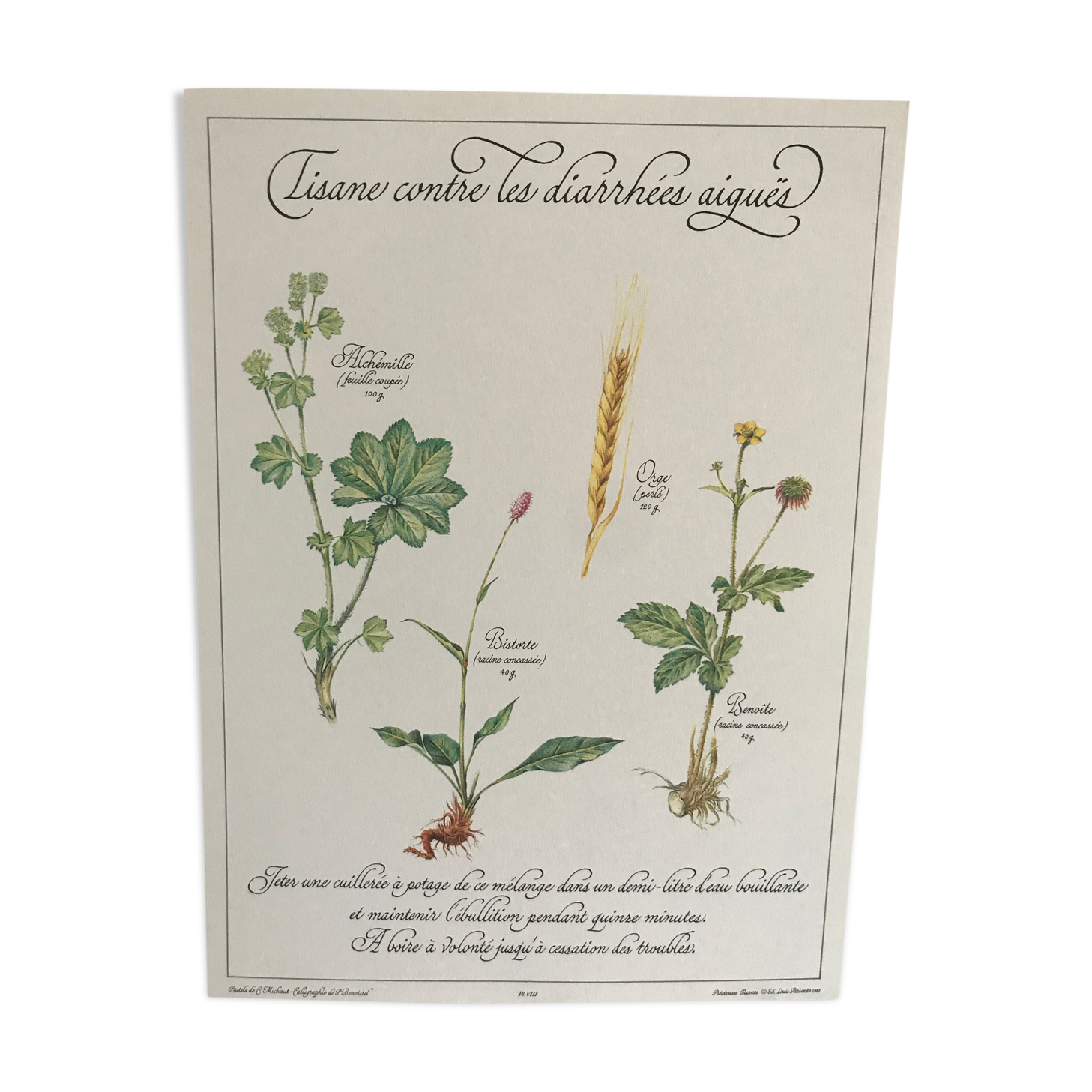 Vintage botanical plank