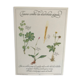 Vintage botanical plank