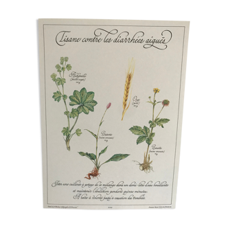 Vintage botanical plank