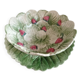 Fruit strainer barbotine