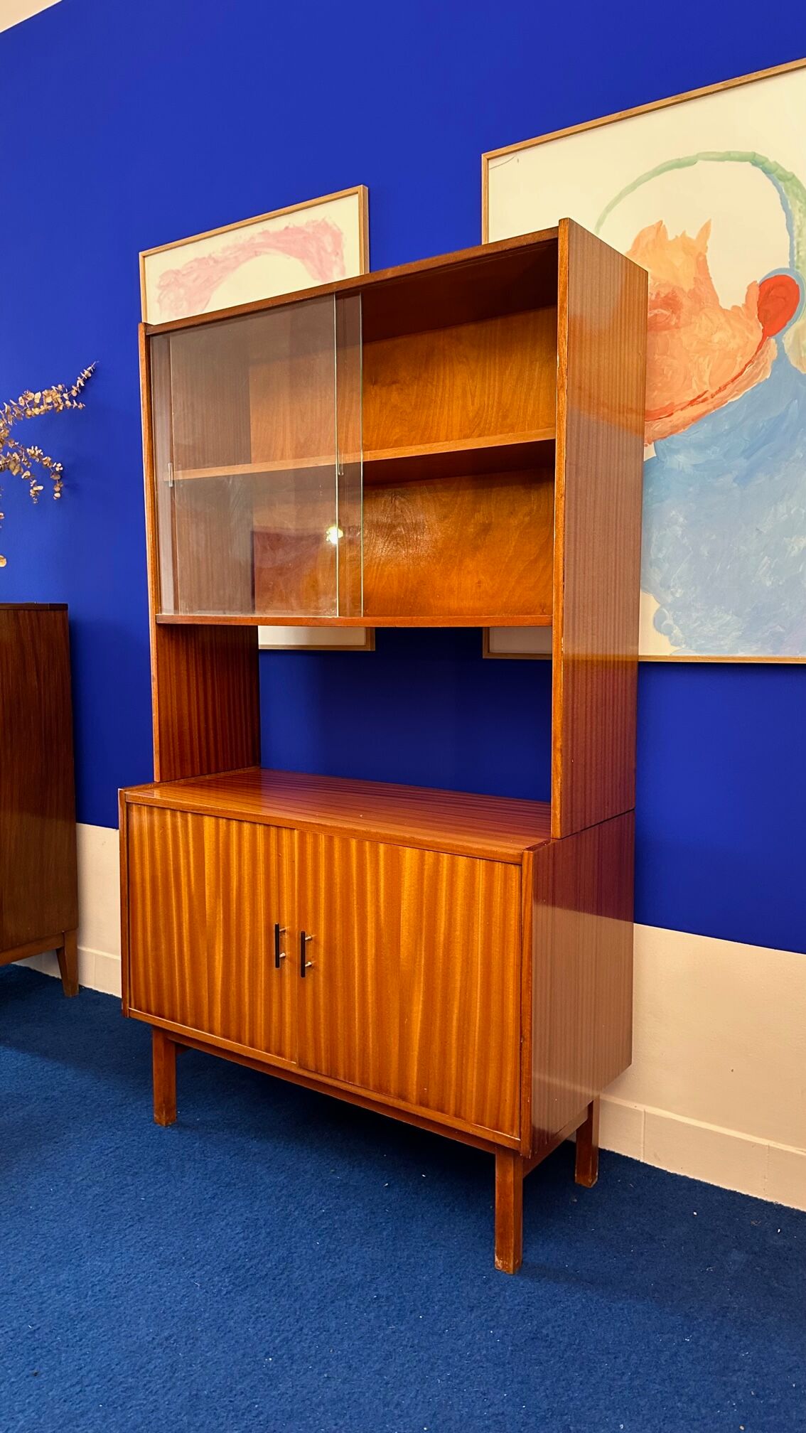 Storage cabinet with showcase of the 60s pedestal shelf