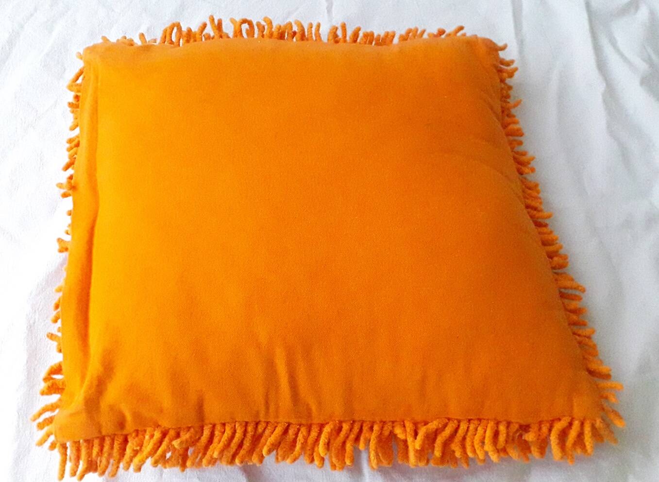 2 coussins oranges