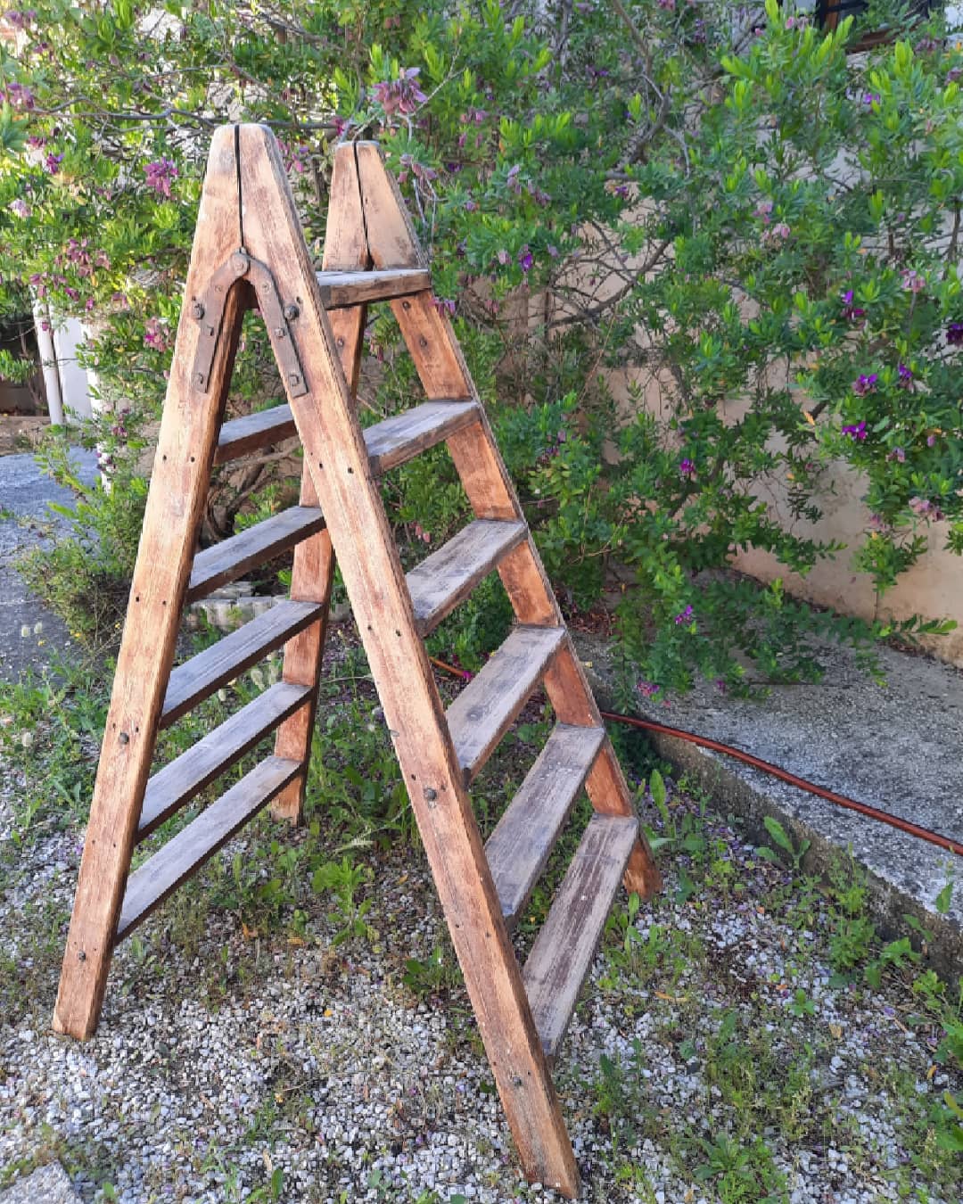 Vintage wooden stepladder