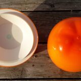 orange Apple ice bucket