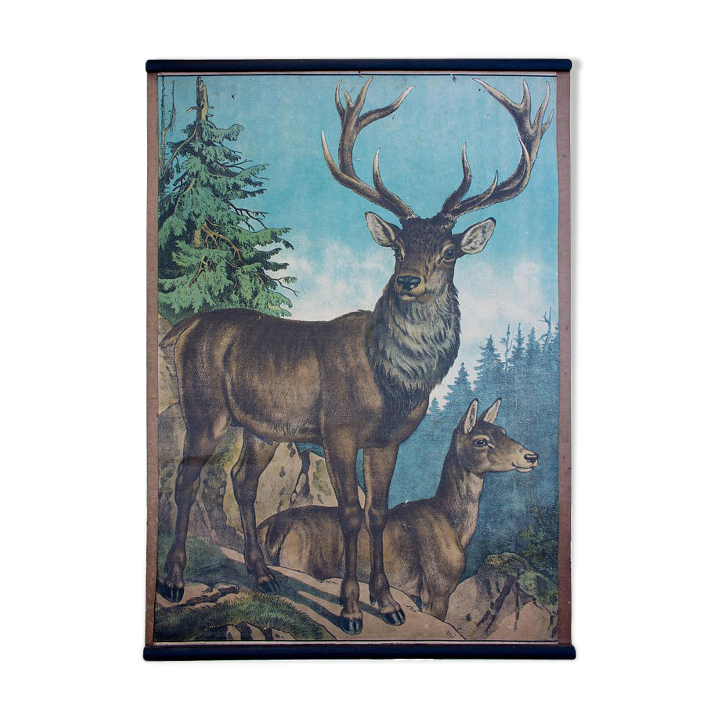 Affiche "Cerf" grille éducatif 1891