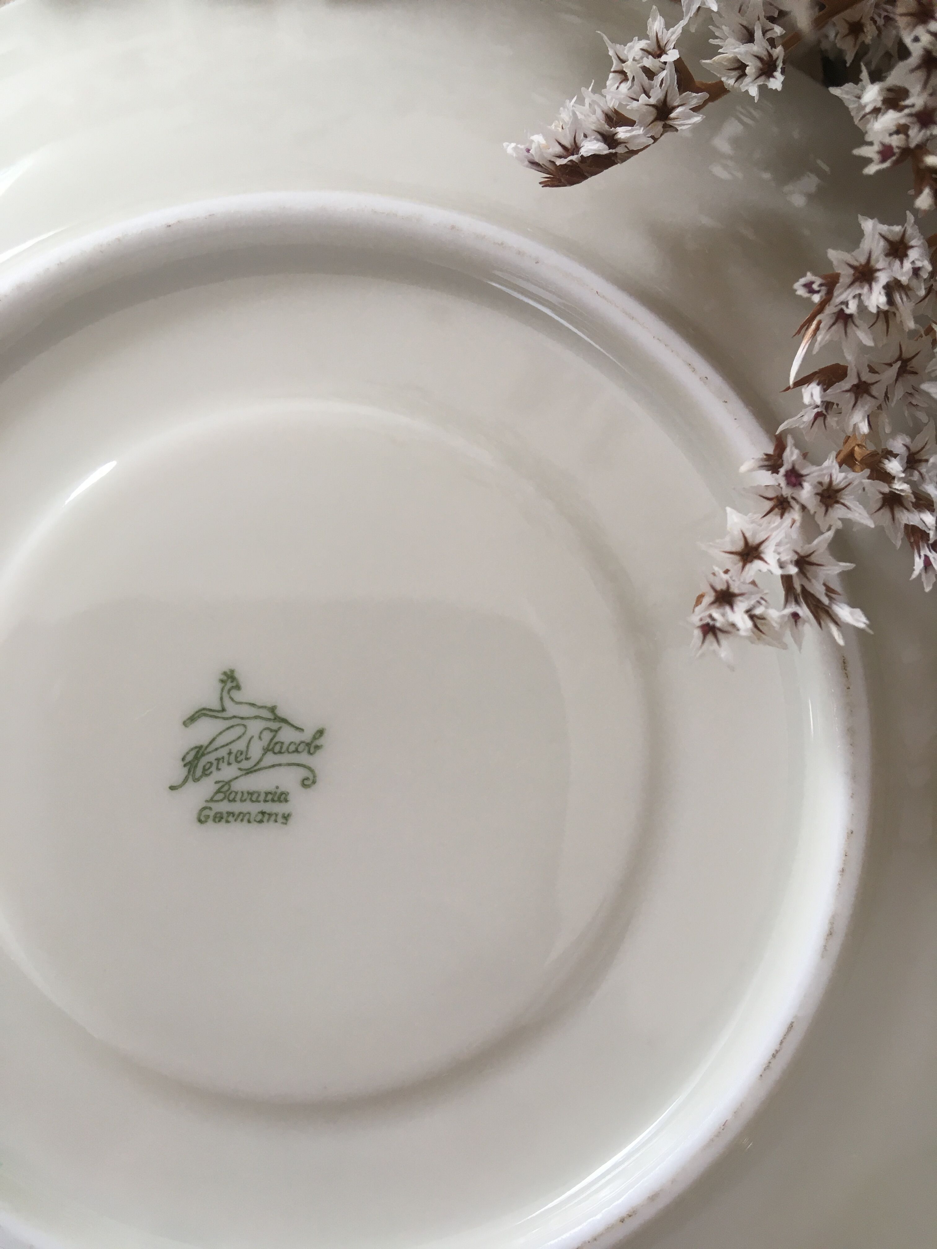 White & gold porcelain coffee cups