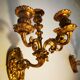 Pair of appliques in gilded bronze and brass late nineteenth h:26CM