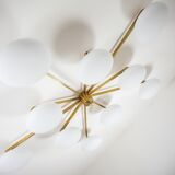 Lustre cosmos stella collection