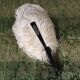 Fan scale ostrich feathers Napoleon III
