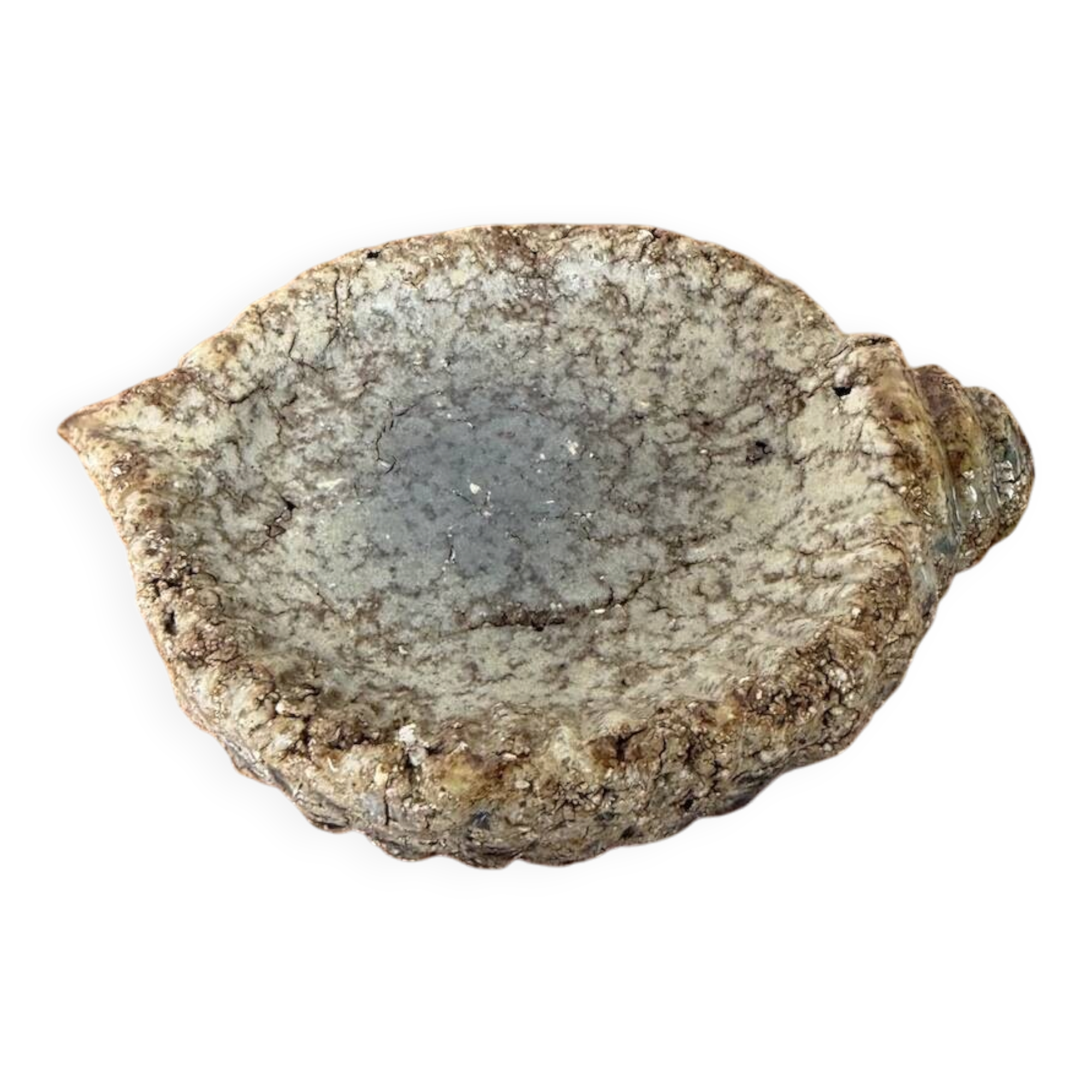 Shell-shaped ceramic glazed catchall