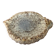 Shell-shaped ceramic glazed catchall