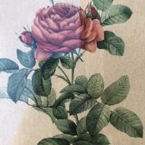 Lithograph PJ Redouté