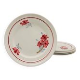6 Assiettes plates vintage. Terre de fer.
