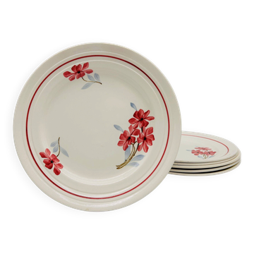 6 Assiettes plates vintage. Terre de fer.