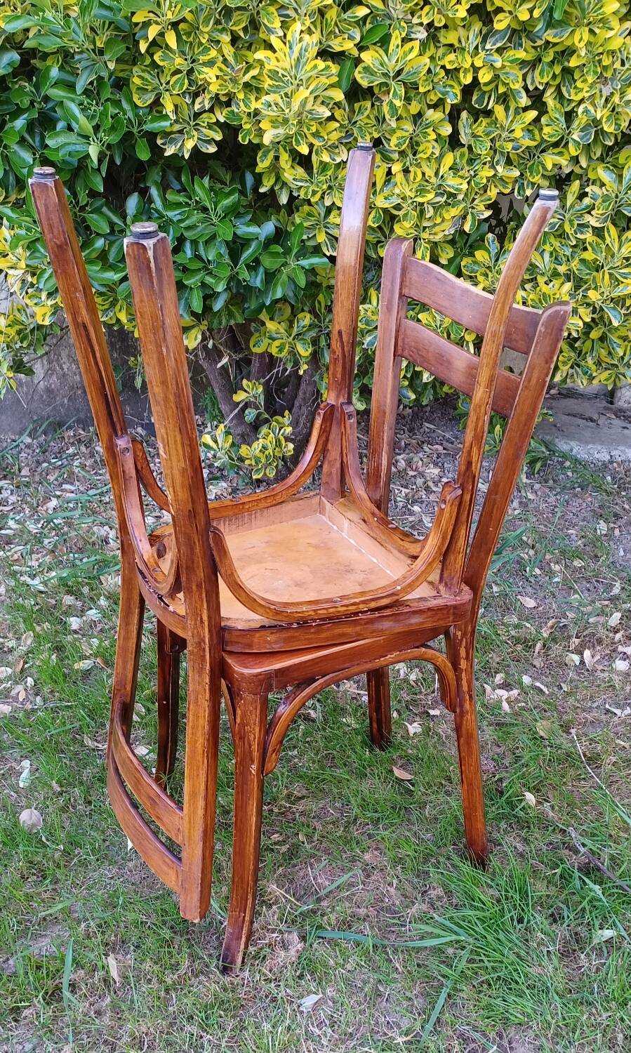 Paire de chaises bistrot Baumann n°56