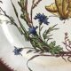Assiette Sarreguemines modèle ‘papillon’