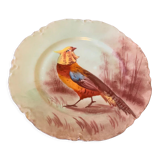 Assiette ancienne décorative haviland