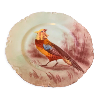 Assiette ancienne décorative haviland