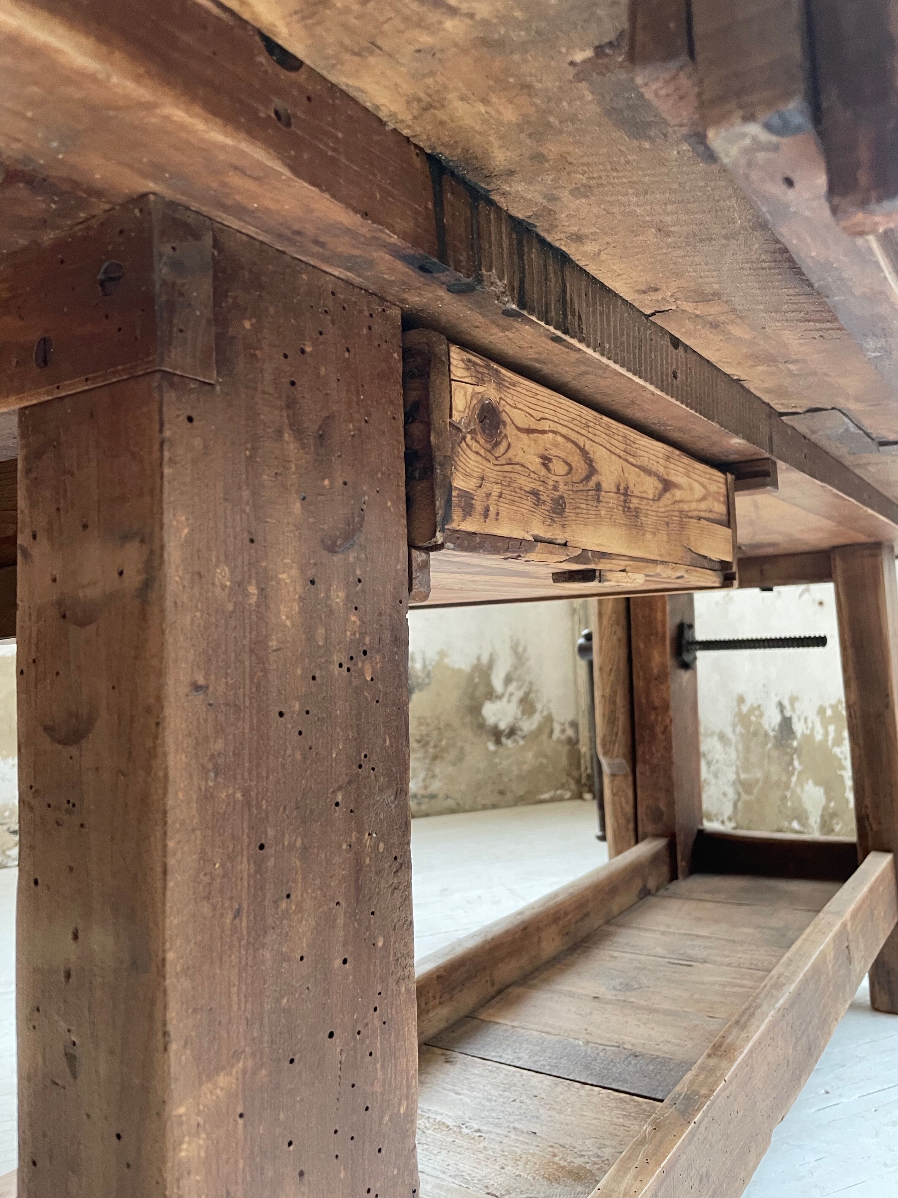 Established old oak XL