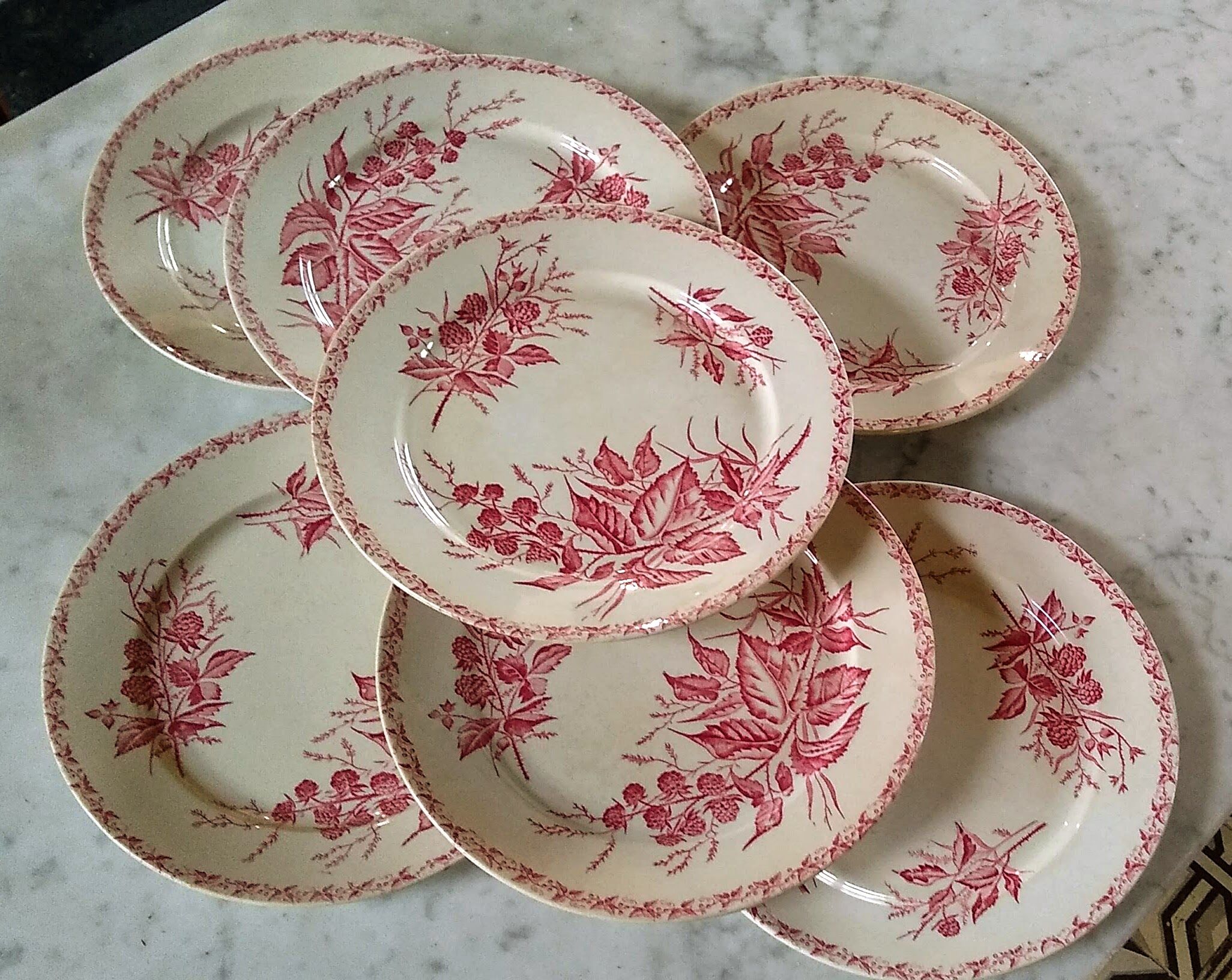 7 flat plates pattern Blackberry from Badonviller