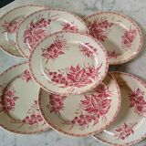 7 assiettes plates motif Mûre de chez Badonviller