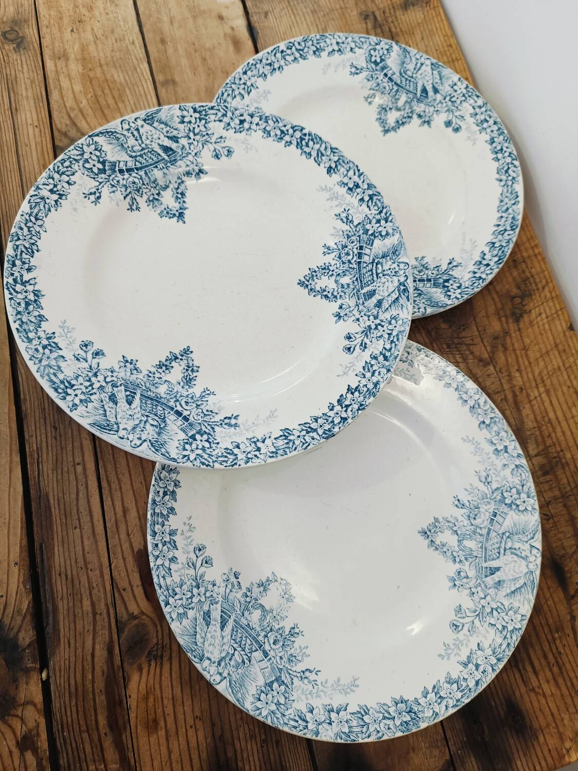 St Amand Lebacqz & Bouchart “Colombier” plates