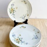 6 Limoges porcelain dessert plates 1915